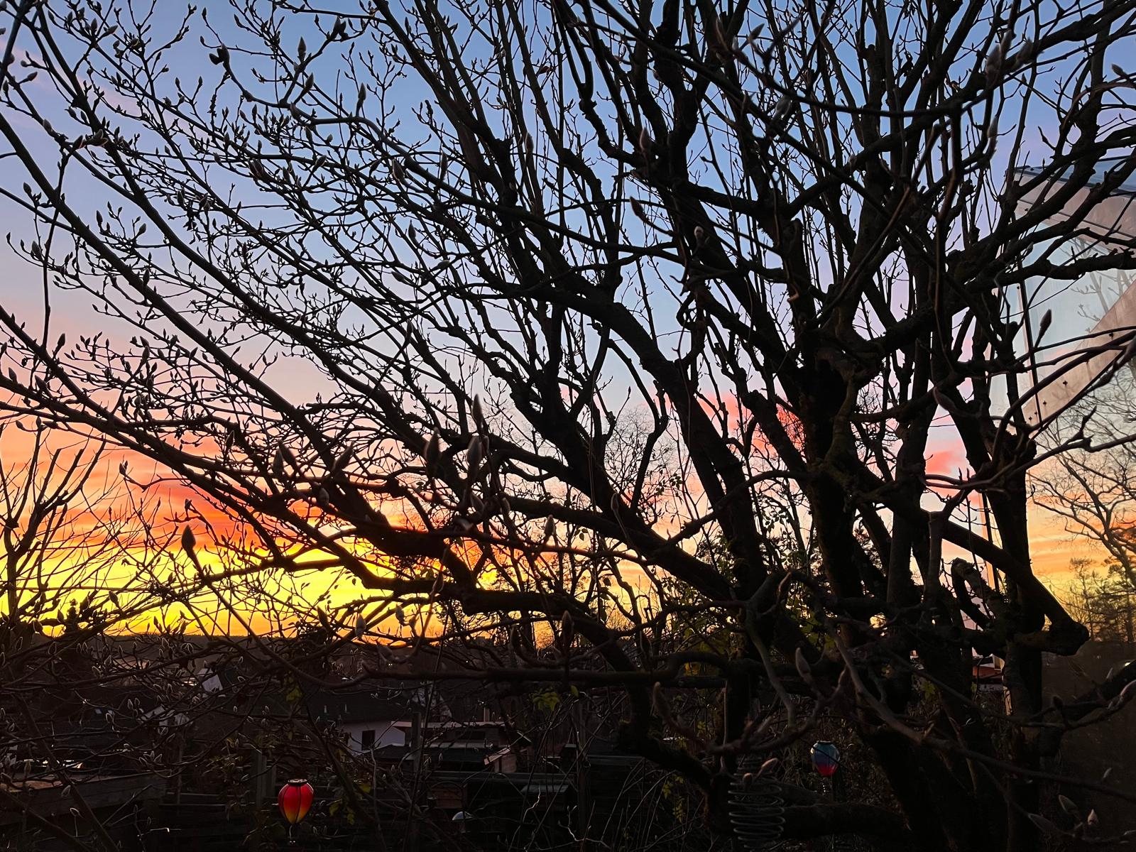 WhatsApp Image 2025 12 15 at 12.24.43