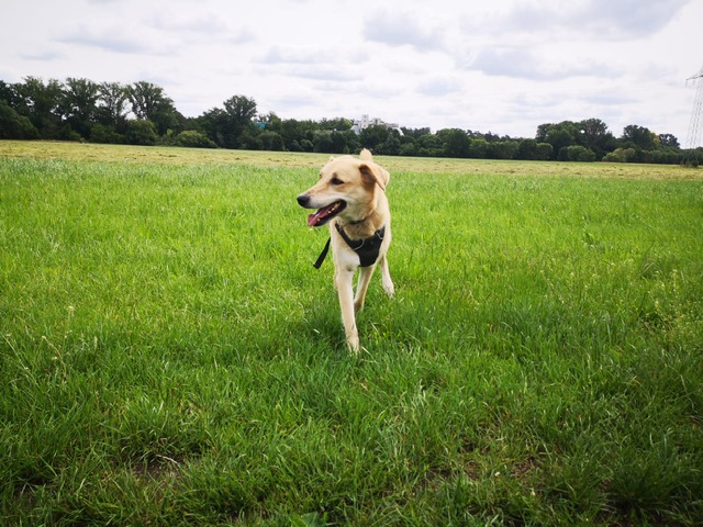 Nina-10.jpg