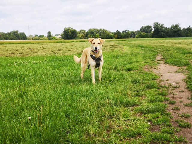 Nina-8.jpg