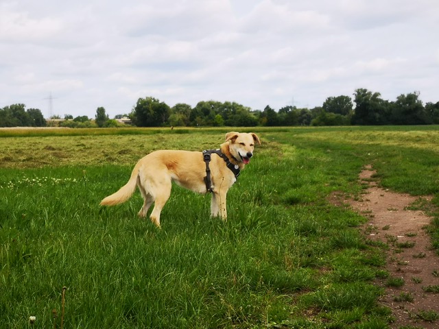 Nina-9.jpg